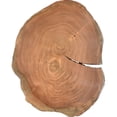 thumbnail image 5 of Meridian Furniture Woodland Live Edge Acacia Wood Top End Table, 5 of 8