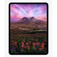 thumbnail image 4 of Restored Apple 13-inch iPad Pro (M5) Wi-Fi + Cellular 256GB with OLED - Silver (Refurbished), 4 of 5