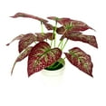thumbnail image 2 of Flmtop Simulated Potted Plant Artificial Fake Bonsai Home Desktop Ornament, 2 of 8