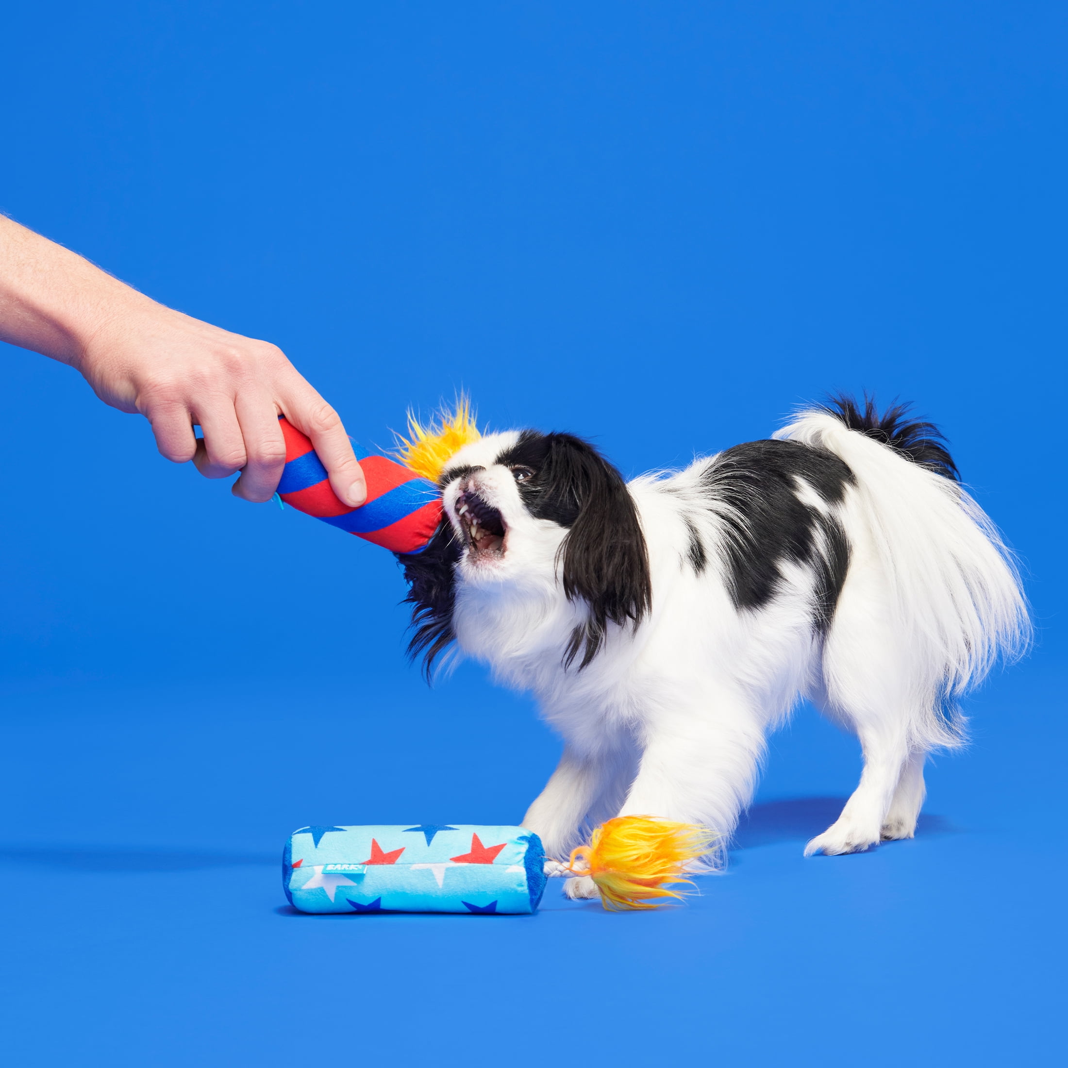 Why Do Dogs Bark At Fireworks