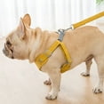 thumbnail image 3 of XIAOLE Small Dog Harness With Leash Set, No Escape Easy Walk Puppy Harnesses, For Training Walking, Step-In Reflective Soft Dogs Vest, Soft And Breathable Vests With Reflective Strip,(Yellow S）, 3 of 7