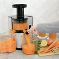 thumbnail image 3 of Omega Juicers Cold Press 150 W 30 fl oz 3-Speed Masticating Juicer, Silver, 3 of 11