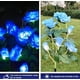 thumbnail image 3 of Luces Solares de Jardín CM-TOP Decoración de Jardines al Aire Libre LED Impermeables Rosa Azul, 3 of 3