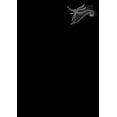 thumbnail image 2 of Men's The Nightmare Before Christmas Halloween Zero Pocket Scribble Graphic Tee Black 2X Large, 2 of 5