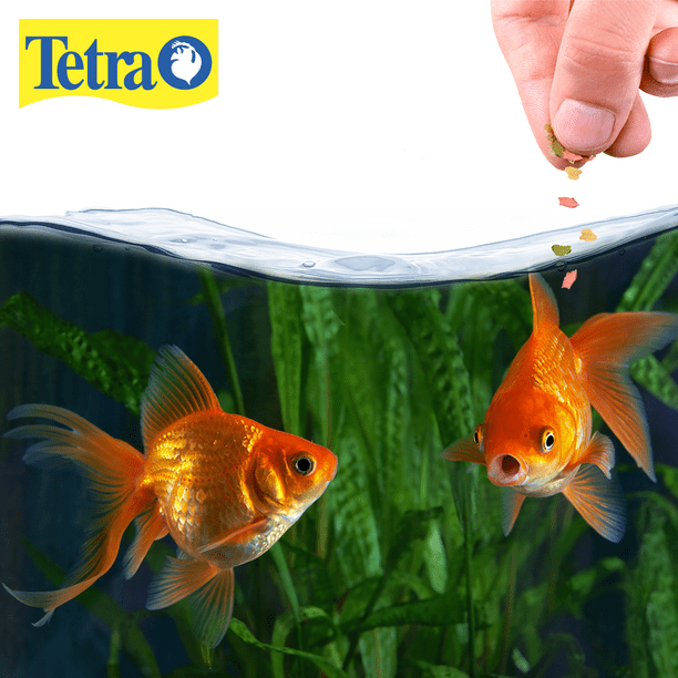 Tetra Tetrafin Goldfish Flakes