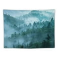 thumbnail image 5 of BCIIG  Misty Forest Tapestry Foggy Mountain Tree Tapestry Pine Woodland Tapestry Nature Landscape Tapestry Wall Hanging for Bedroom Lord of the Rings Room Decor 60x50inch, 5 of 6
