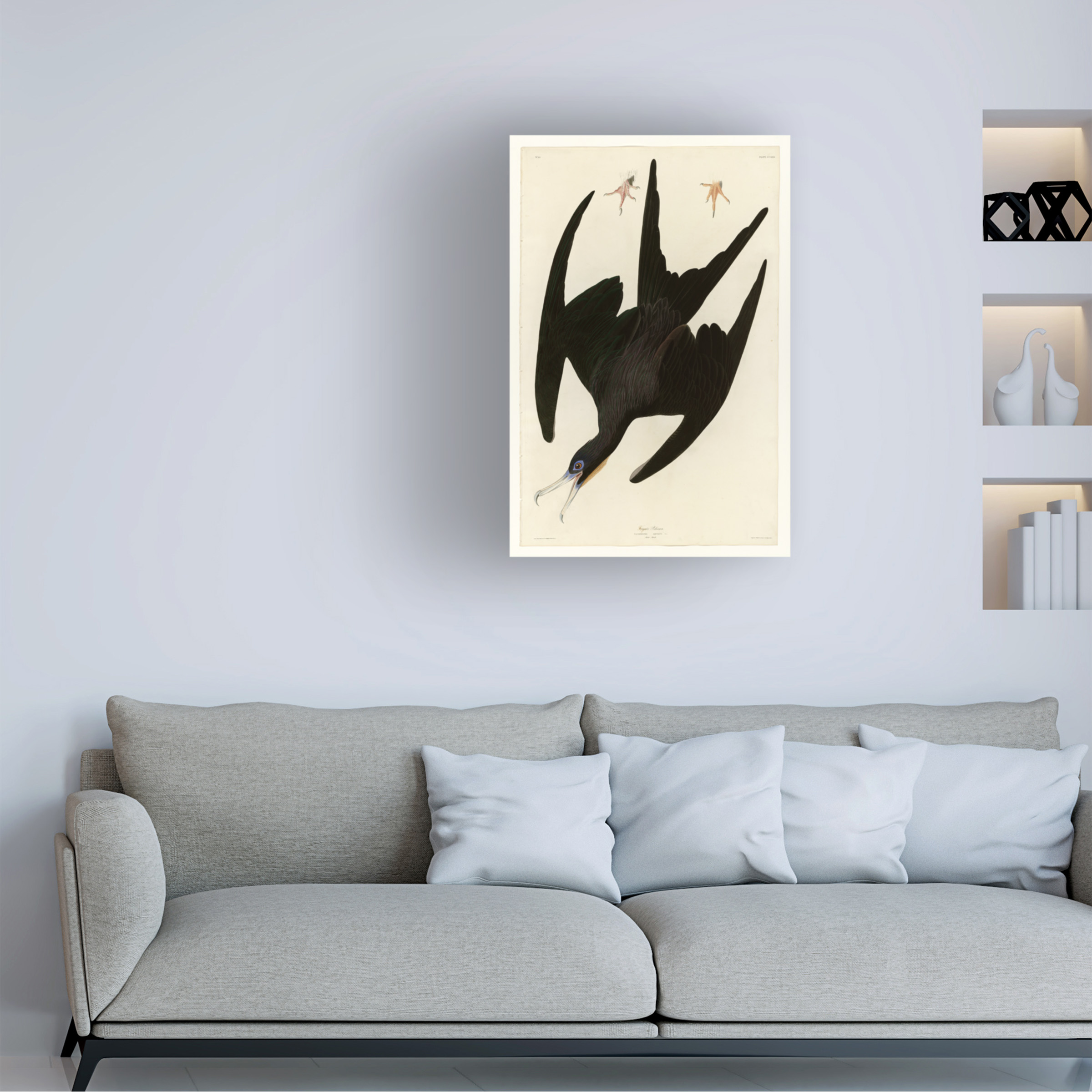 Audubon 'Frigate Pelicanplate 271' Canvas Art