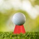 thumbnail image 2 of 24 Tees de Golf, Tees de Goma con Castillo, Clavos de Golf, Accesorios para Entrenamiento y Práctica de Golf, 2 of 8