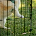 thumbnail image 4 of IRIS USA 30" Exercise 8 Panel Wire Metal Pet Playpen for Dog, 4 of 8
