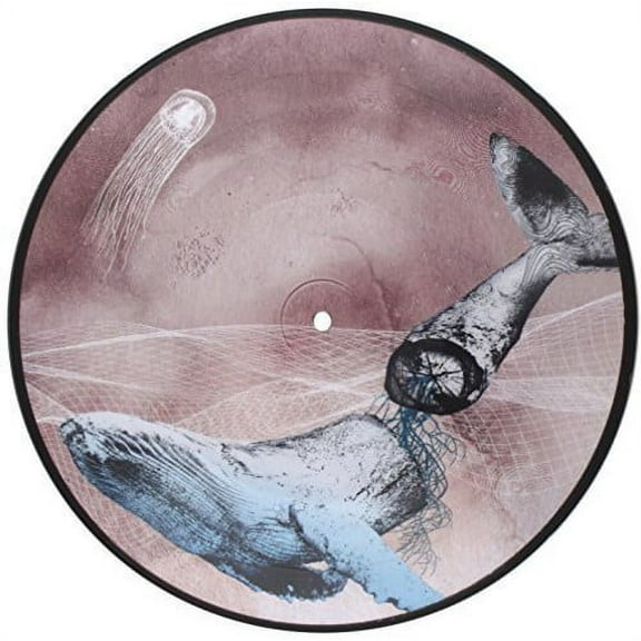 Mestis - Basal Ganglia - Rock - Vinyl