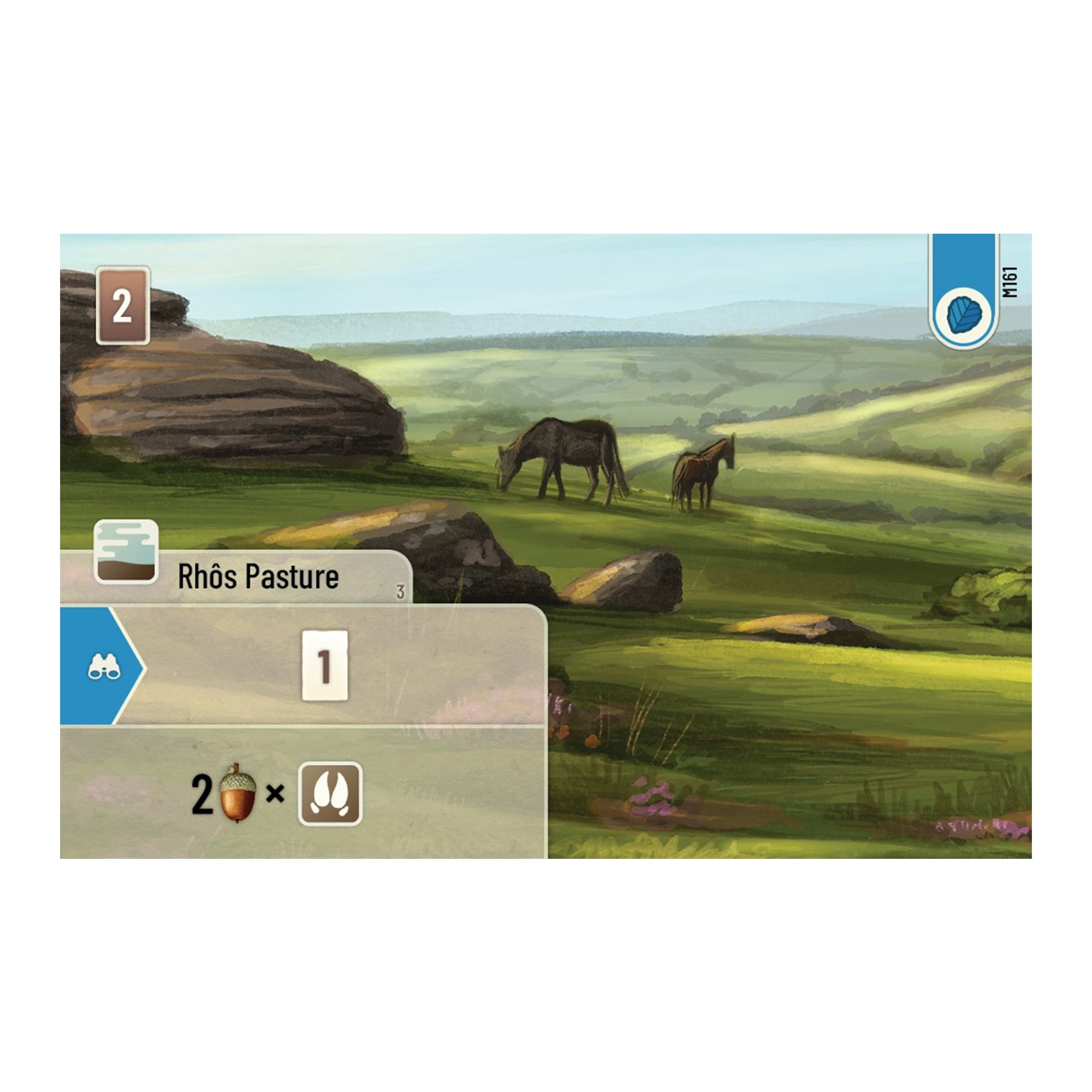 Forest Shuffle: Dartmoor Family Strategy Board Game for Ages 10+, from Asmodee