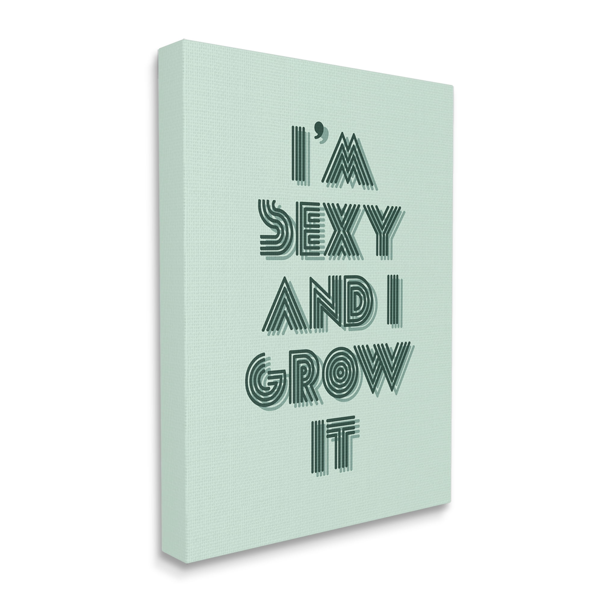 Stupell Industries I'm Sexy And I Grow It Gardening Plant Humor Canvas Wall Art, 36 x 48, Design by Lil' Rue
