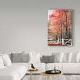 thumbnail image 3 of Trademark Fine Art 'Autumn Reds IV' Canvas Art by Beata Czyzowska Young, 3 of 3