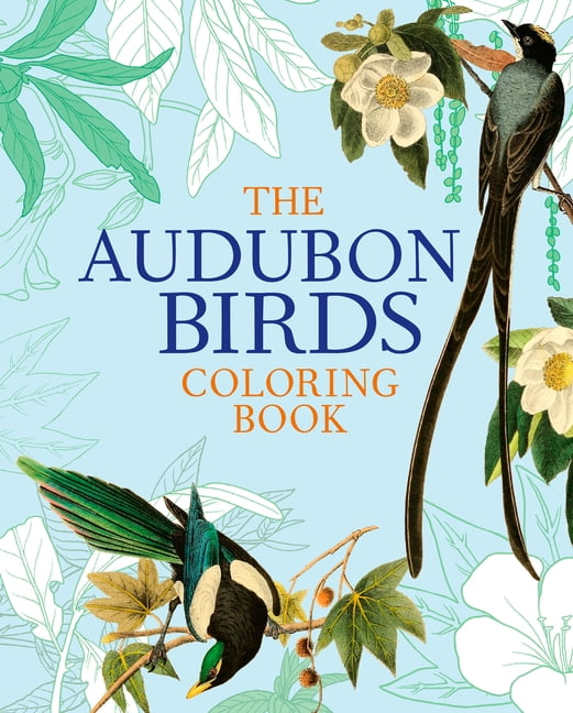 The Audubon Birds Coloring Book (Paperback) - Walmart.com - Walmart.com