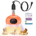 thumbnail image 1 of Lámpara calefactora TFNN Chicken Coop Heater 200W-350W-500W UVA UVB, 1 of 7