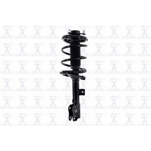 Suspension Strut and Coil Spring Assembly