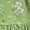 Green, variant on Women's Long Sleeve Dress Print A-line Elegant Pleated Casual Beach Skater Dress Flared Sleeve V-Neck Midi Dresses