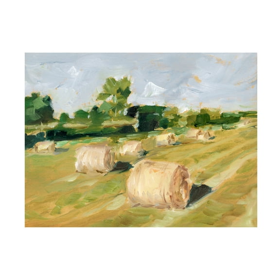 Ethan Harper 'Hay Field II' Canvas Art