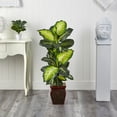 thumbnail image 4 of Nearly Natural Golden Dieffenbachia Artificial Plant with Planter - 45", 4 of 5