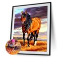 thumbnail image 1 of Cuadros Decorativos Caballo de diamante redondo pintado con diamante DIY 5D Sywqhk Nuevos Originales, 1 of 1