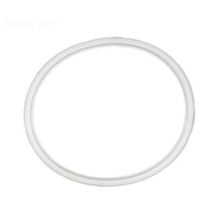 UPC: 0806105124920 | Waterway Plastics WW7116400 Gunite Lower Body Gasket