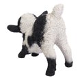 thumbnail image 2 of Hi-Line Gift Small Black & White Baby Lamb Playing, 2 of 5