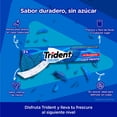thumbnail image 2 of Goma de mascar Trident sin azucar sabor menta 5 pzas, 2 of 5