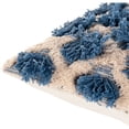 thumbnail image 3 of Surya Edric EDR-002 18 x 18" Square Cotton Pillow Cover in Blue/Ivory/Cream, 3 of 4