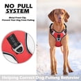 thumbnail image 4 of Adjustable Harness Dog Reflective Safety Training Walking Chest Vest Traction Greyhound French Bulldog Pet Dog Accessories ShopWise Round, 4 of 11