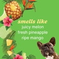 thumbnail image 2 of Hempz Hydrating & Deodorizing Shampoo for Dogs, Sweet Pineapple & Honey Melon Scent, 17 fl oz Bottle, 2 of 6