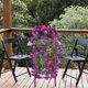 thumbnail image 4 of Cesta colgante de rosas artificiales para decoración de pared | Varilla de 85 cm con 12 enredaderas de flores artificiales | Plantas de plástico para envolver en la sala de estar, el techo y la, 4 of 6