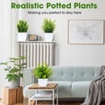 thumbnail image 3 of 6Pcs Realistic Mini Potted Artificial Plants - Small Faux Houseplants Greenery for Home Office Desk, Shelf, Bathroom Bedroom Decor, 3 of 6