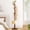 Walnut Brown, variant on Solid Wood Coat Rack Freestanding Coat Tree with 10 Hooks for Bedroom, Livingroom, Entryway, Sturdy Coat Hanger Stand for Hats, Coats, Scarves, Handbags, Purses