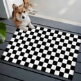 thumbnail image 3 of Entryway Rug 2'x3', Black White Plaid Small Rug for Kitchen Bathroom Door Mat Indoor Entrance, Farmhouse Modern Minimalist Geometric Non-Slip Area Rugs Floor Mats Carpet Front Door Rugs, 3 of 8