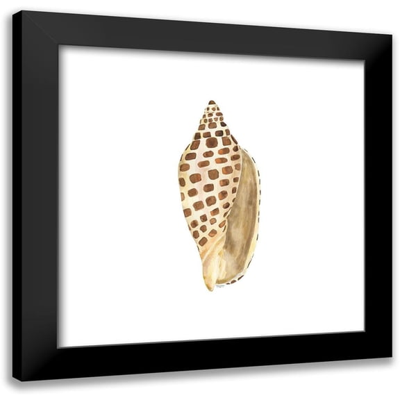 Reed, Tara 12x12 Black Modern Framed Museum Art Print Titled - Oceanum Shells white II-Junonia