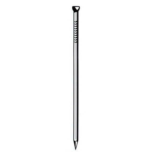 8D 2-.50in. Bright Finish Brad Head Nails