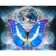 thumbnail image 1 of Pintura de diamante (DE4749) 5D DIY mariposa tierra cuadrado bordado Kits 30x40cm Hugtrwg Para estrenar, 1 of 1
