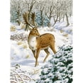 thumbnail image 1 of Carolines Treasures ASA2006CHF Jachère Cerf Drapeau Toile Maison Taille, 1 of 4