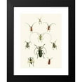 thumbnail image 2 of John Obadiah Westwood 14x18 Black Modern Framed Museum Art Print Titled - The Cabinet of Oriental Entomology Pl XXX (1848), 2 of 5