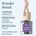 thumbnail image 2 of Car Air Hanging Fragrance Oil, Car Auto Freshener for Essential Oils, Scents Fragrance Aromatherapy Automobile Diffuser, Long Lasting (Wonder Struck), 2 of 10