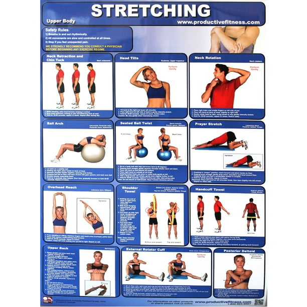 Productive Fitness Poster Series Upper Body Stretching Exercises Non Laminated Walmart Com Walmart Com
