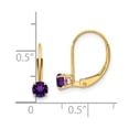 thumbnail image 3 of 14K Yellow Gold Earring Birthstone (02) February Women'S Amethyst Round Purple 13 mm 4, 3 of 3