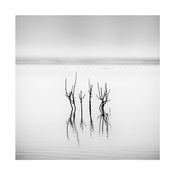 Canvas Wall Art - George Digalakis 'Vegoritida Lake 005' Wall Art for Living Room, Bedroom, or Office Décor by Trademark Fine Art - 14 x 14 Inches