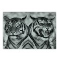 thumbnail image 1 of Safari Cutting Board, Cat Expression Opposite Images Fearsome Teeth Mirror Angry Intense Wildlife, Decorative Tempered Glass Cutting and Serving Board, Small Size, Pale Grey Black, by Ambesonne, 1 of 1