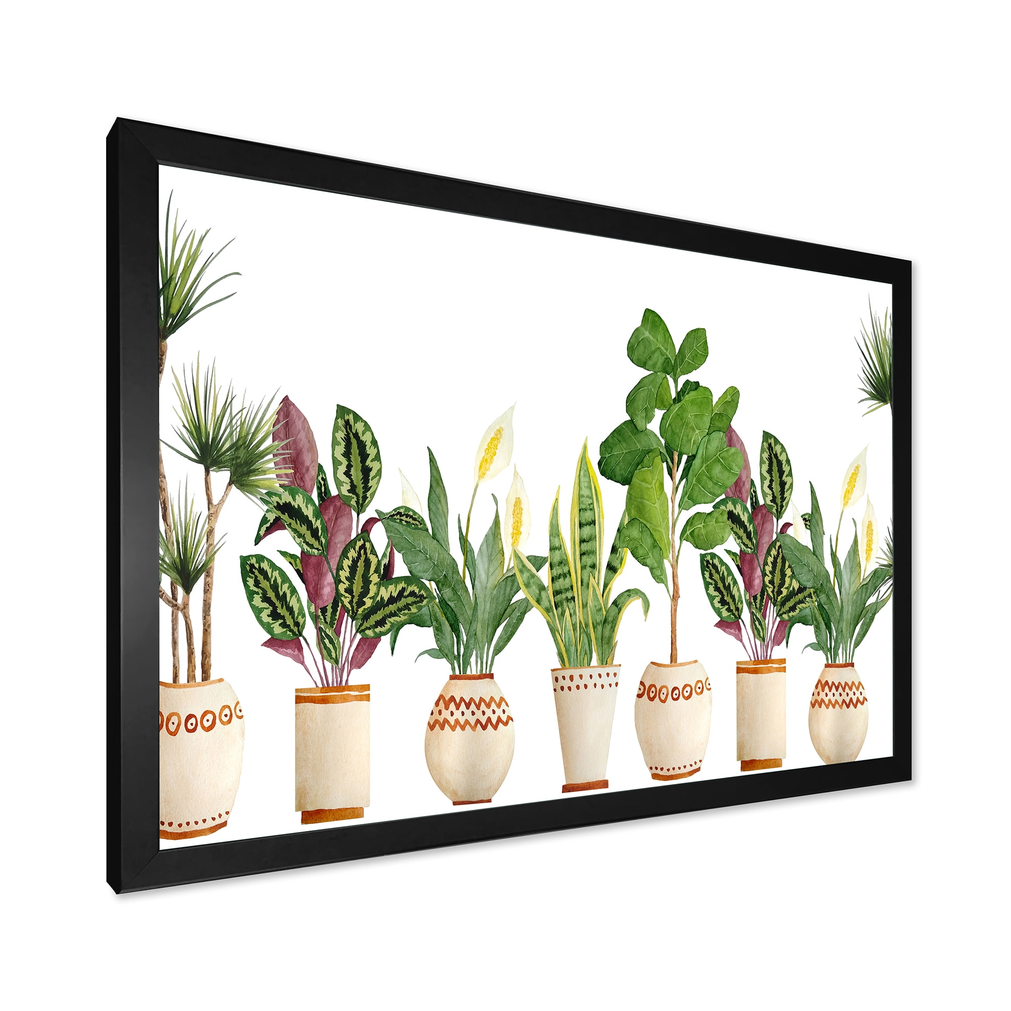 Designart 'Trio of Houseplants Sanseviera Snake Plants On White' Farmhouse Framed Art Print