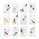 thumbnail image 1 of Paquete de mascarillas faciales EUNYUL Daily Care 12 tipos x12, 1 of 8