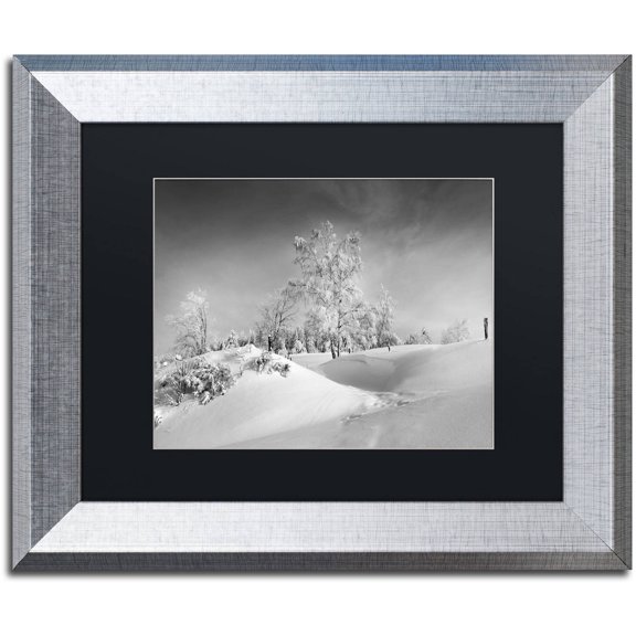 Trademark Fine Art "Dressed For Winter B&W" Canvas Art by Philippe Sainte-Laudy, Black Matte, Silver Frame