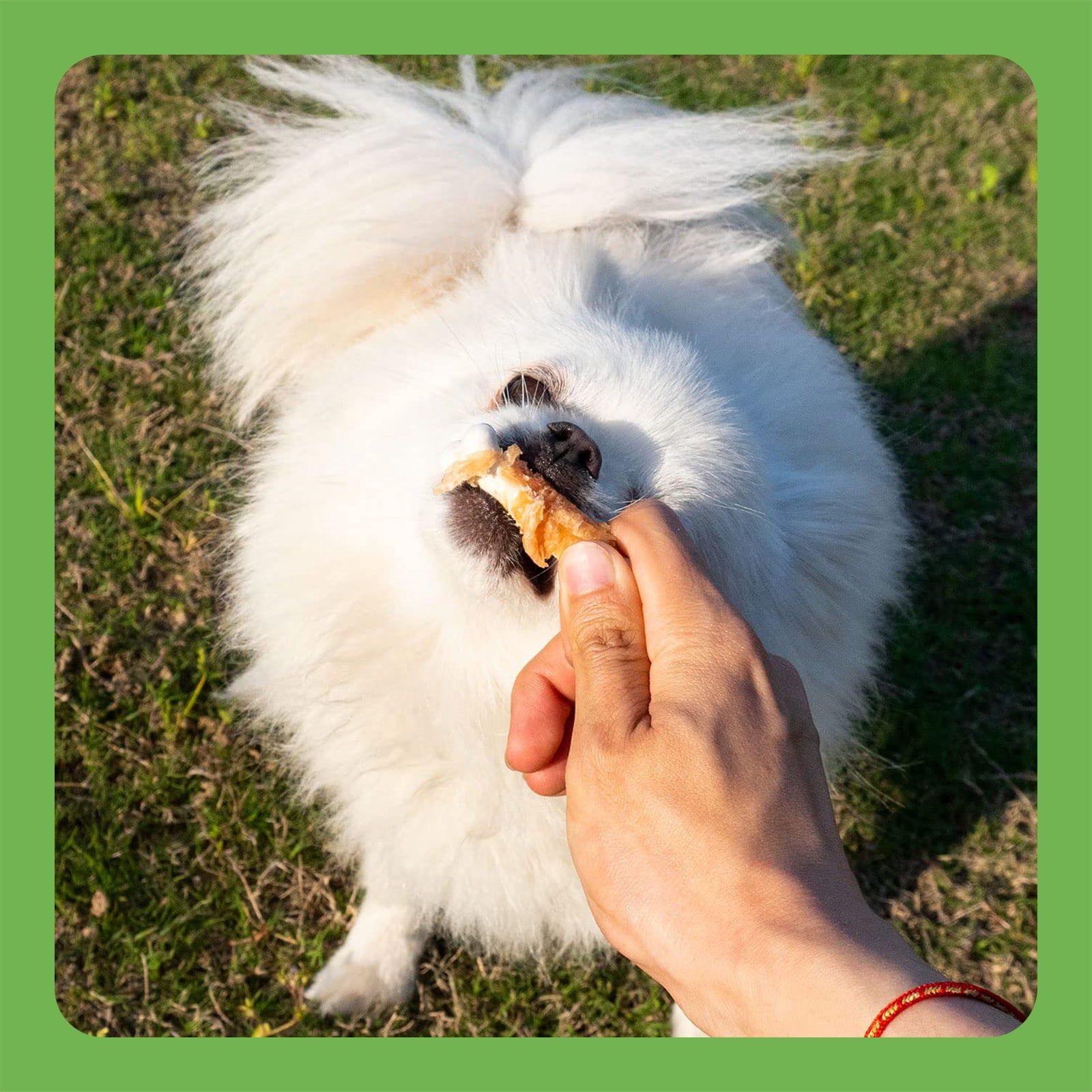 MON2SUN Chicken Wrapped Calcium Bones Small Dog Treats, 1.2 lb (56 Count)
