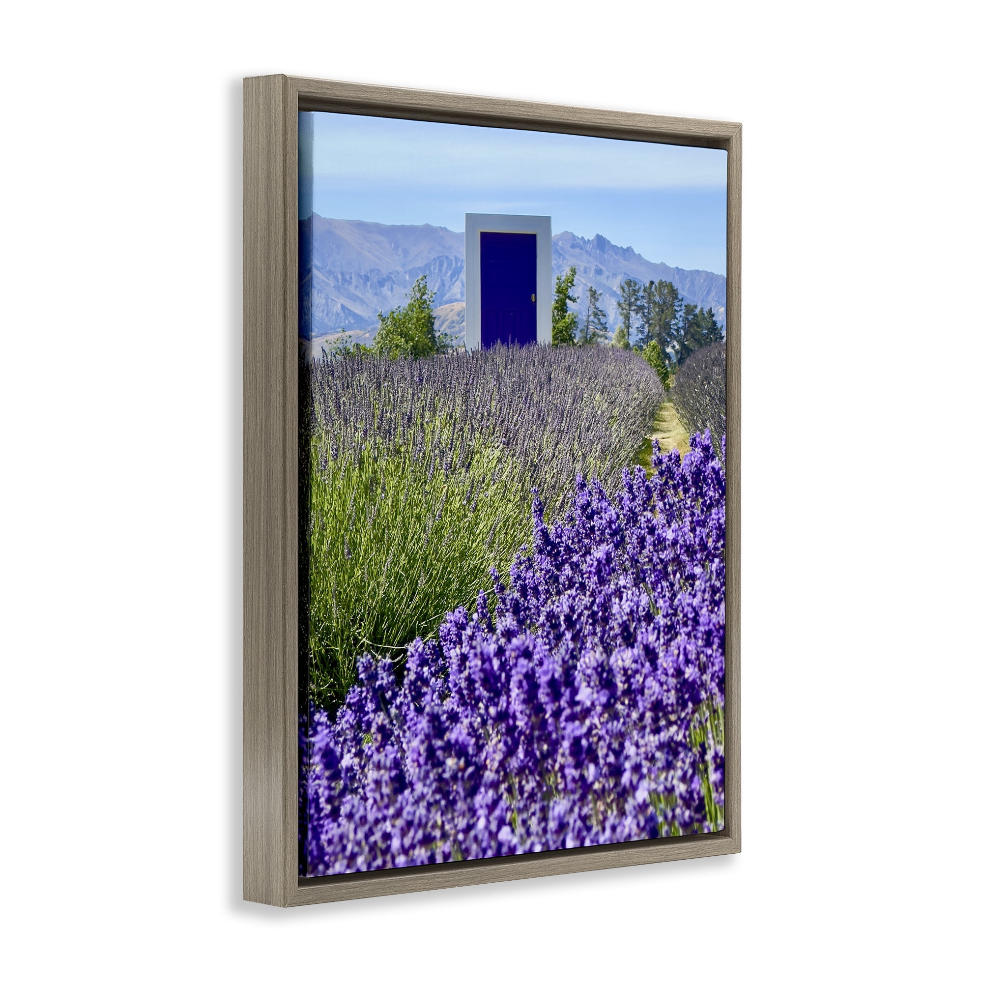Stupell Industries Surreal Doorway Landscape Landscape Photography Brown Floater Framed Art Print Wall Art, 17 x 21