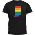 thumbnail image 1 of Indiana LGBT Gay Pride Rainbow Black Adult T-Shirt, 1 of 1